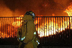 Wildfire in the San Fernando Valley