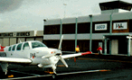 JAL flight line